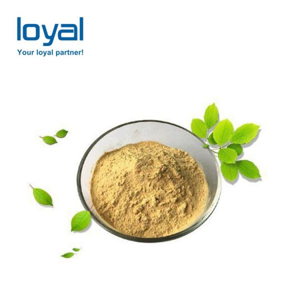 Water Soluble Organic Fertilizer Potassium Fulvate Powder for Crop Growth #1 image